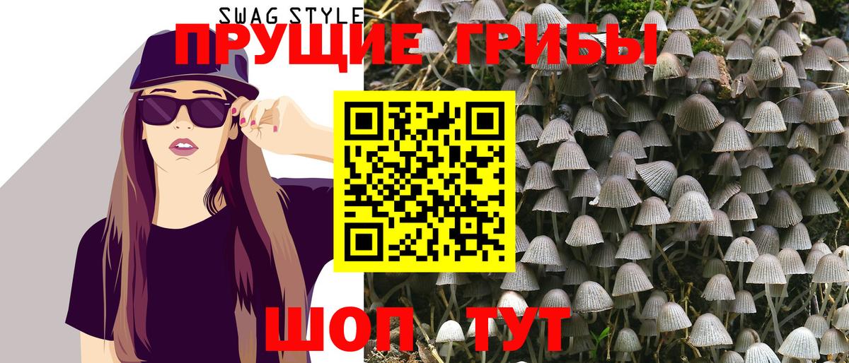 Псилоцибиновые грибы Psilocybine cubensis  Вход с VPN  Псилоцибиновые грибы Magic Shrooms  Звенигород 
