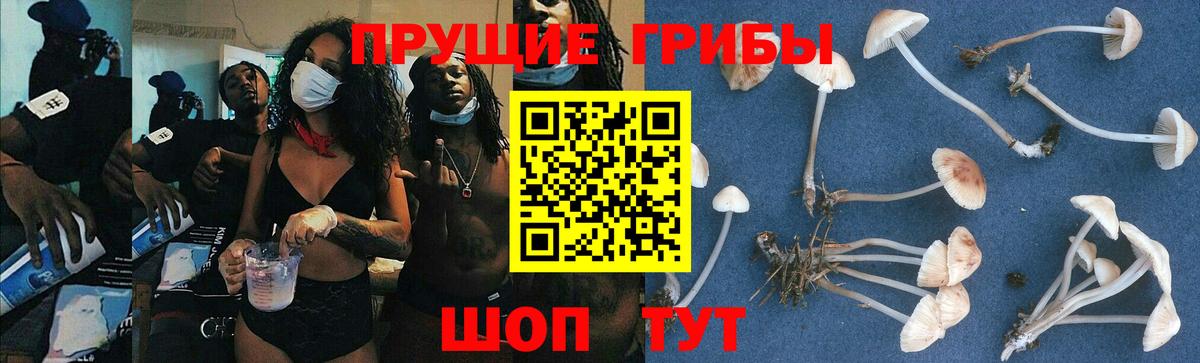 Галлюциногенные грибы GOLDEN TEACHER Звенигород